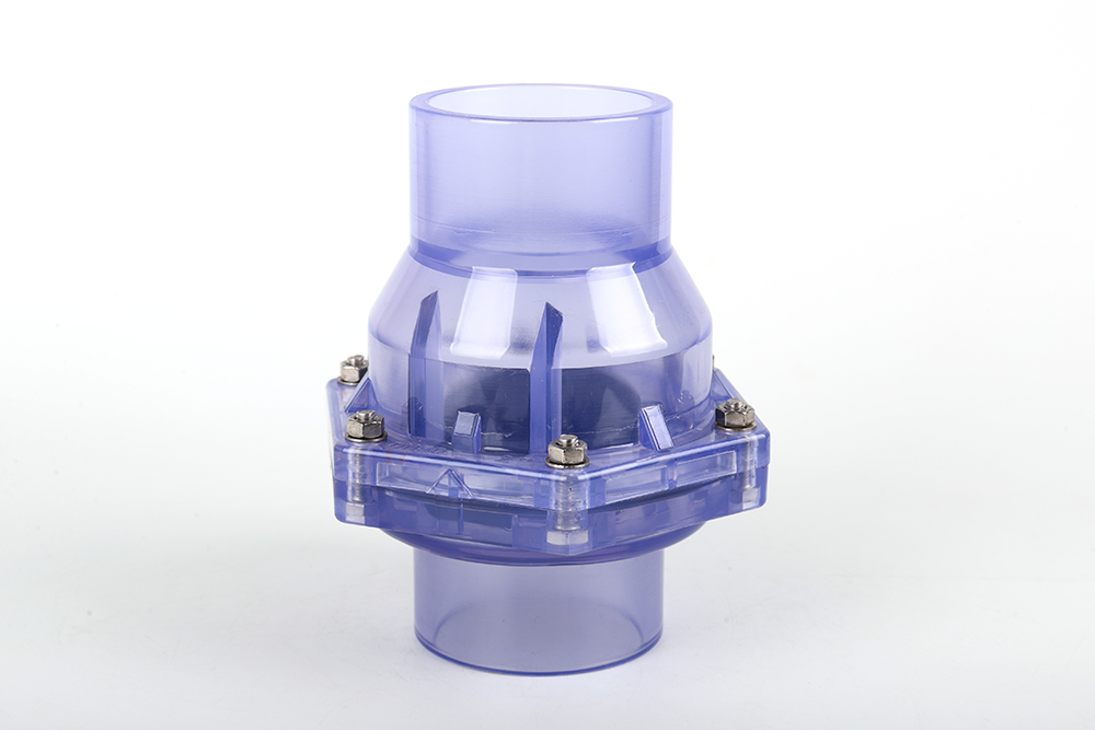 德保透明翻板式止回阀